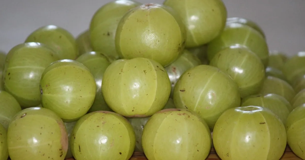 Gooseberry: 9 Impressive Health Benefits