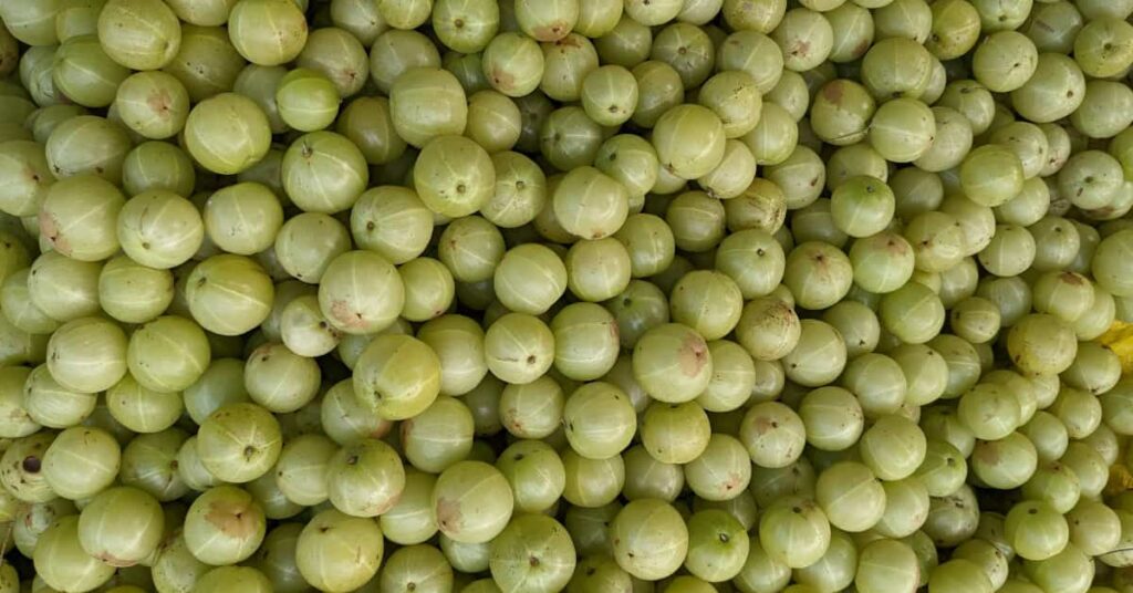 Gooseberry benefits Gooseberry benefits