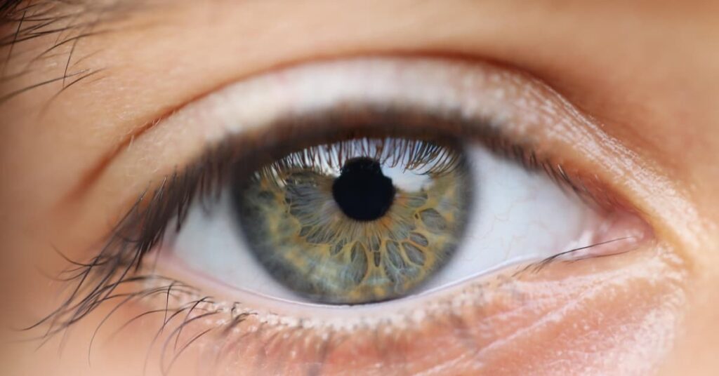 Gooseberry Improves Eye Health Gooseberry Improves Eye Health