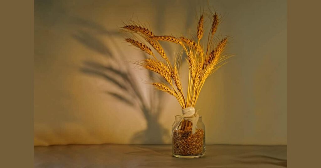 Key Characteristics of bulgur wheat Key Characteristics of bulgur wheat