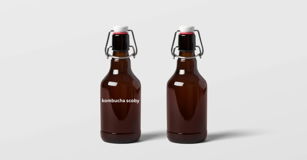 Kombucha Scoby: 8 Direct Health and Powerful Nutritional Benefits