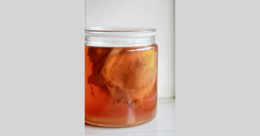 Kombucha origin Kombucha origin