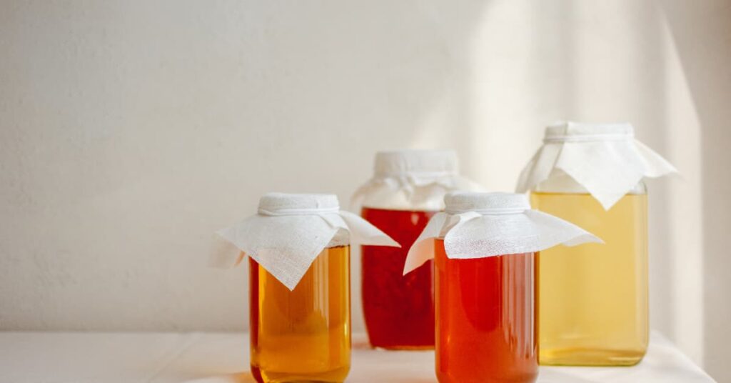 Kombucha scoby benefits