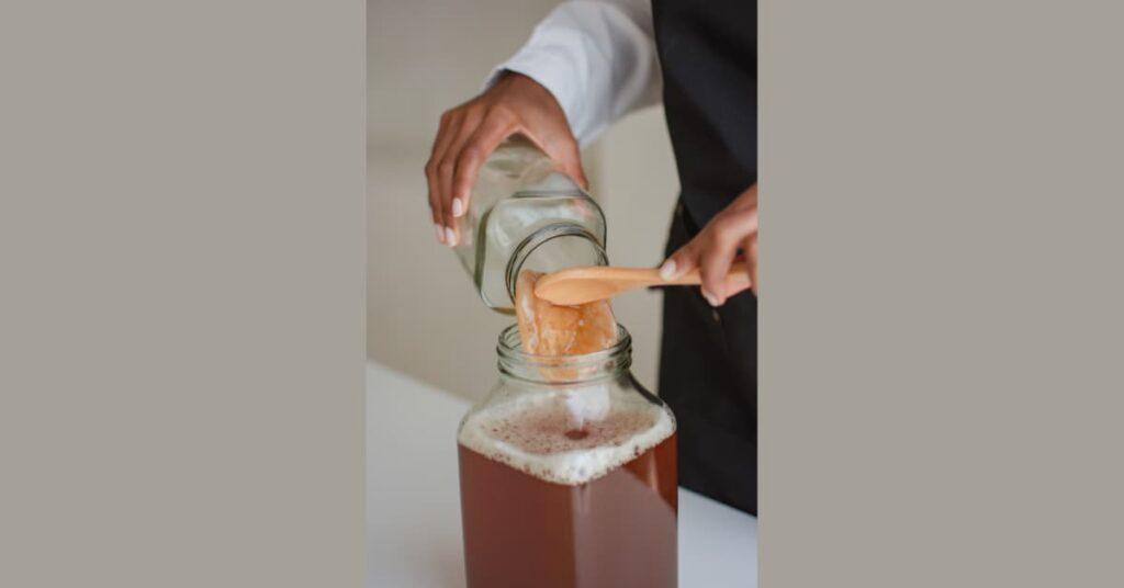Kombucha scoby benefits