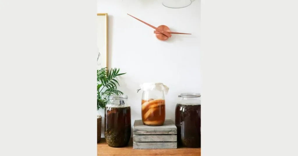 What is a SCOBY Made Of? Breaking It Down What is a SCOBY Made Of? Breaking It Down