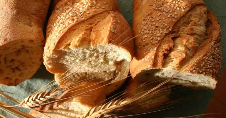 Wheat Bread: 5 Powerful Benefits and More.