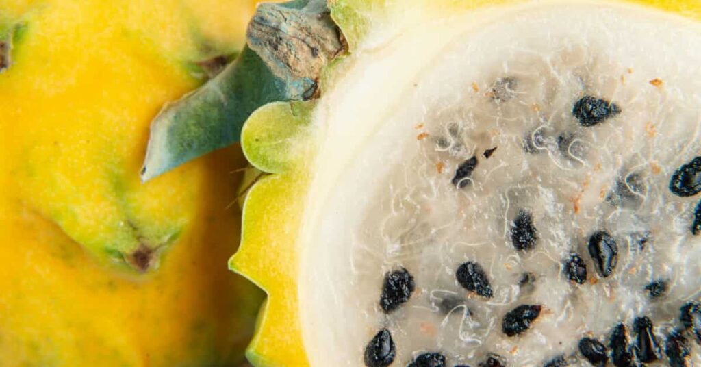 Yellow dragon fruit