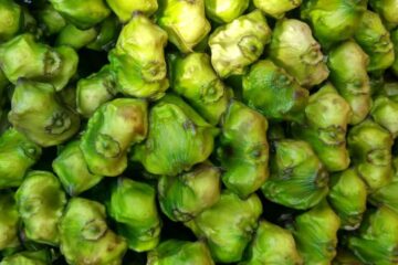 Beyond the Crunch: 15 Surprising Advantages of Water Chestnut (Singhara) for Wellness