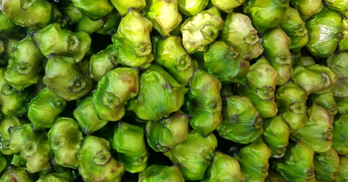 Beyond the Crunch: 15 Surprising Advantages of Water Chestnut (Singhara) for Wellness