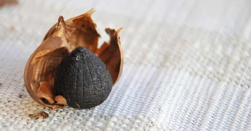 Black Garlic taste Black Garlic taste