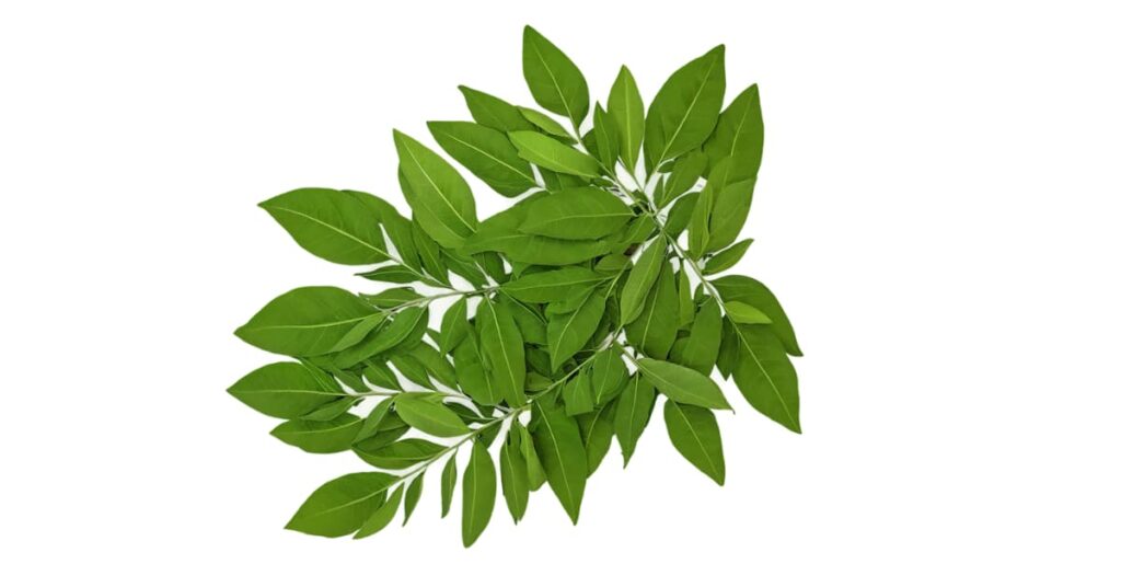Curry leaves for hair.