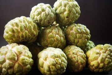 Custard Apple (Cherimoya): A Tropical Treasure with 12 Incredible Health Advantages