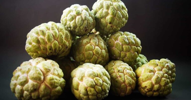 Custard Apple (Cherimoya): A Tropical Treasure with 12 Incredible Health Advantages