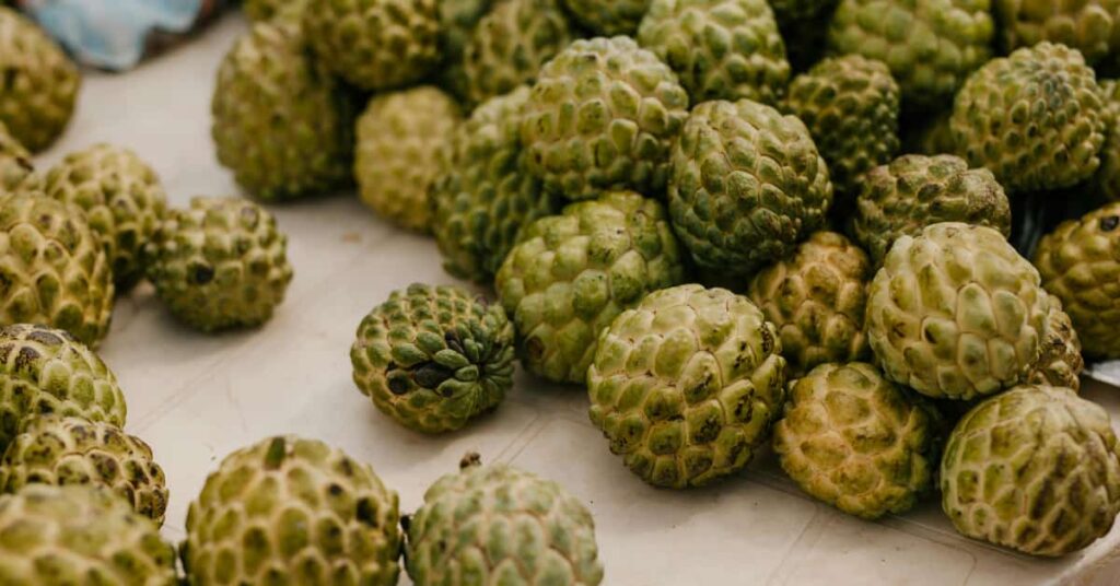 Custard apple