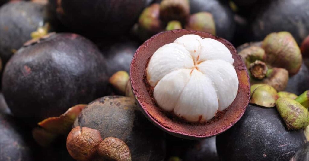 Mangosteen benefits Mangosteen benefits