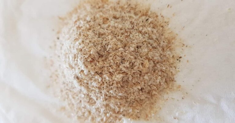Psyllium Husk: Control Your Metabolism—The 3 Key Advantages for Blood Sugar and Digestion