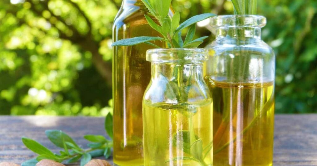 Rosemary oil Rosemary oil