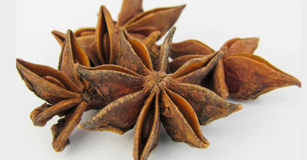 Star Anise Star Anise