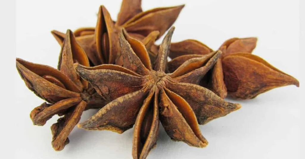 Star Anise