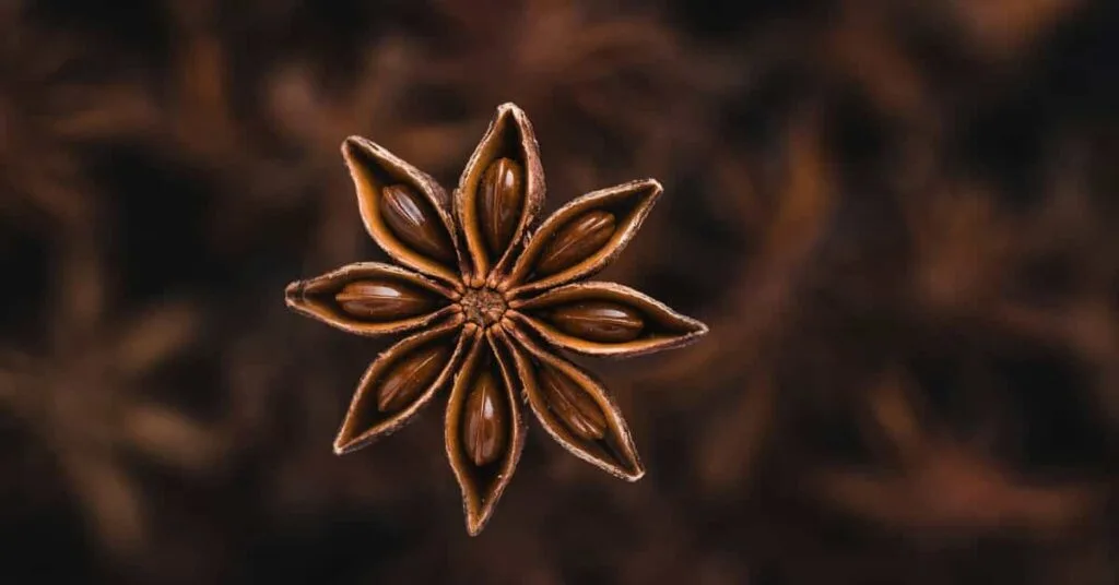 Star anise benefits
