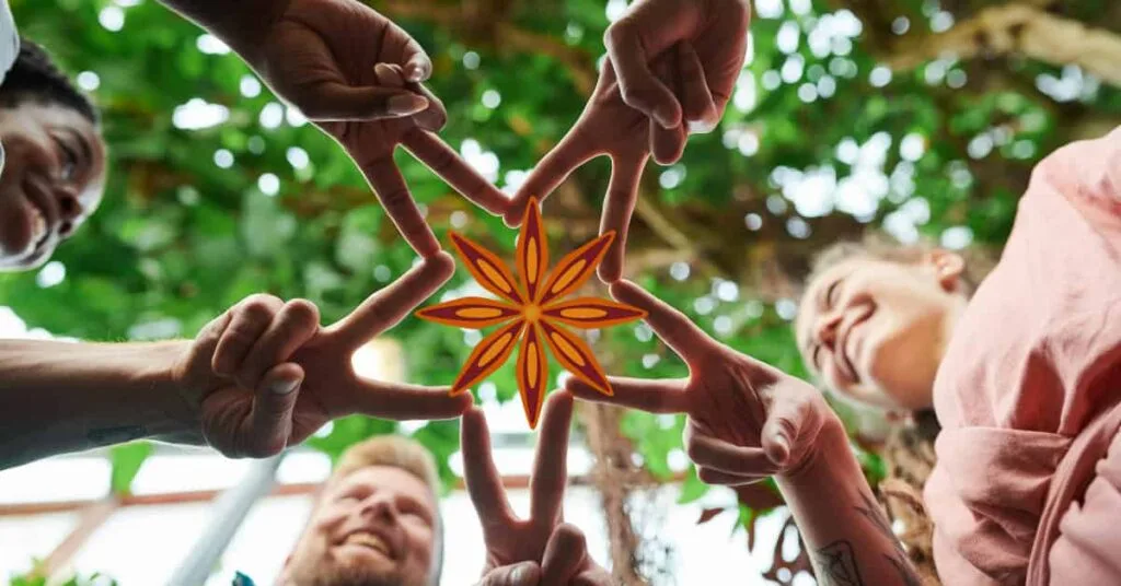 Star anise benefits for males