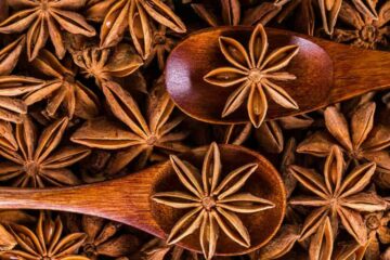 The Arsenal of Star Anise: 13 Proven Health Advantages