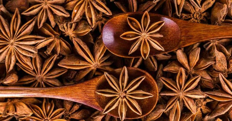 The Arsenal of Star Anise: 13 Proven Health Advantages