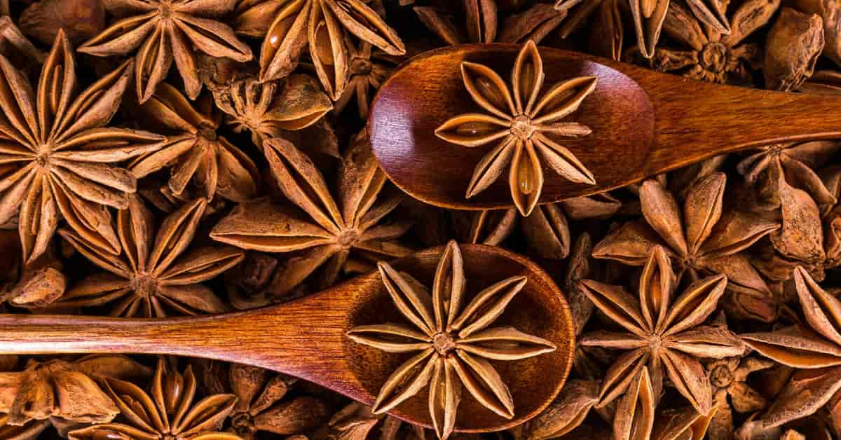 The Arsenal of Star Anise: 13 Proven Health Advantages