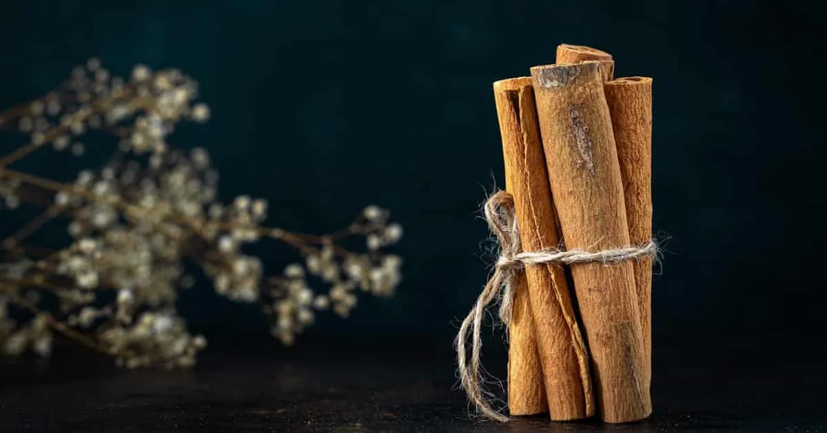 The Definitive Guide to Ceylon Cinnamon: 15 Advantages and Safety Insights