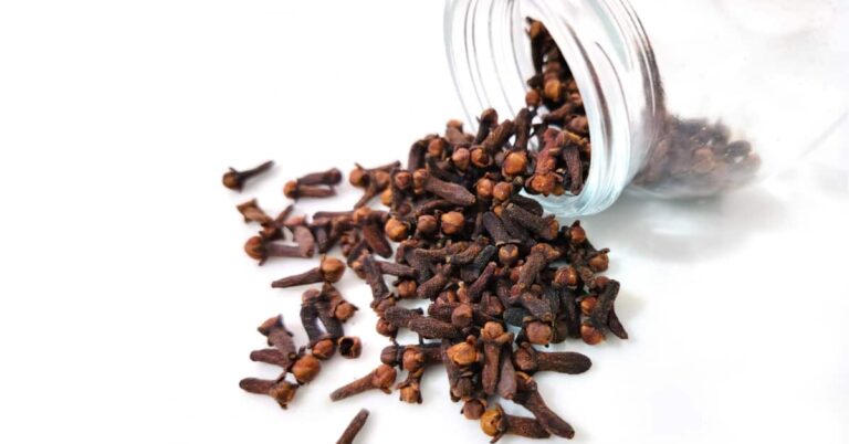 The POWER of Cloves Benefits: 12 Proven Health Benefits
