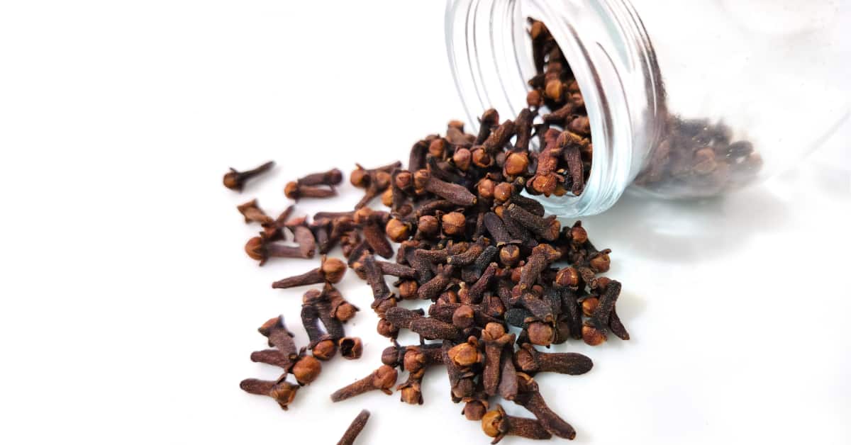 The POWER of Cloves Benefits: 12 Proven Health Benefits