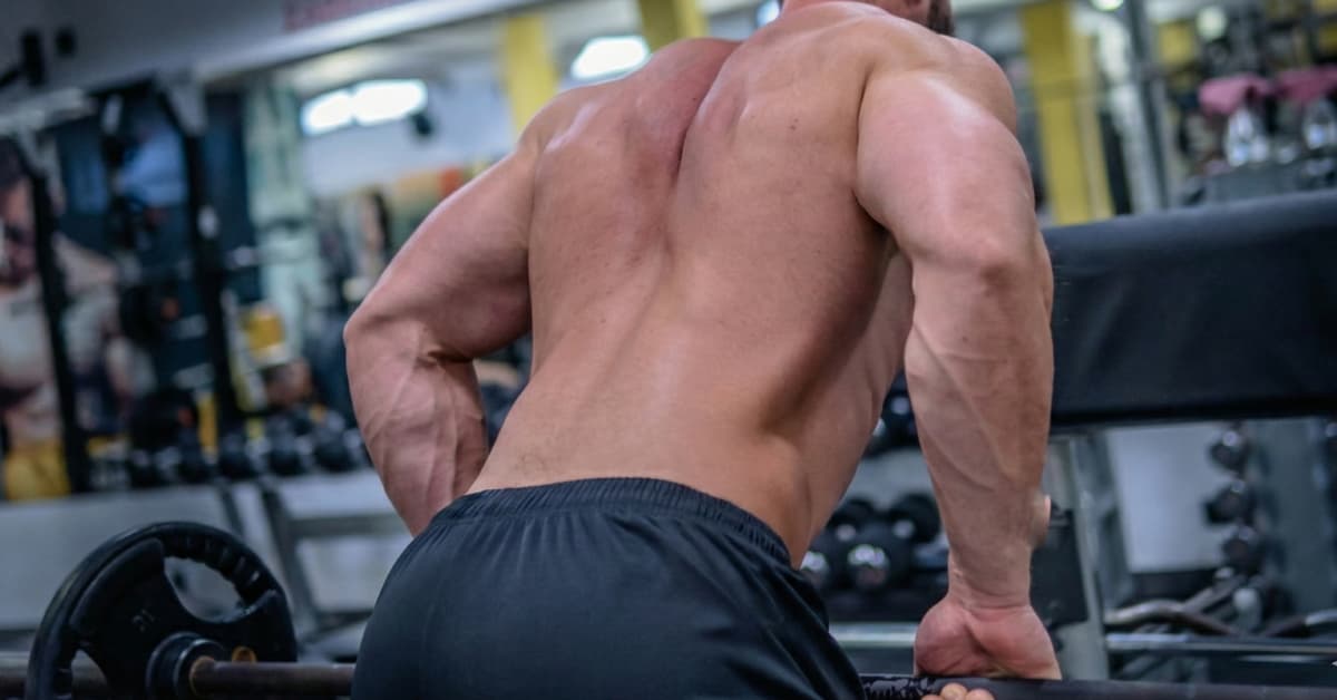 "Bent Over Rows The Ultimate V-Taper Guide, 15 Advantages and Safety Rules"