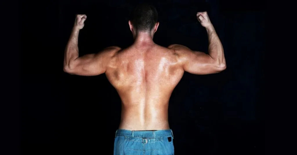 Lat pull down Introduction Lat pull down Introduction