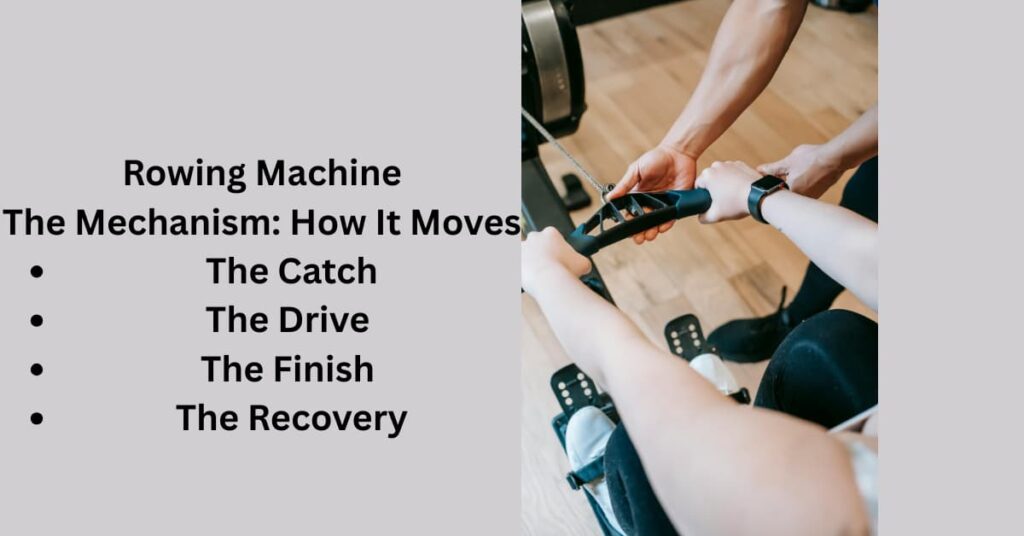 Rowing machine how it works 
