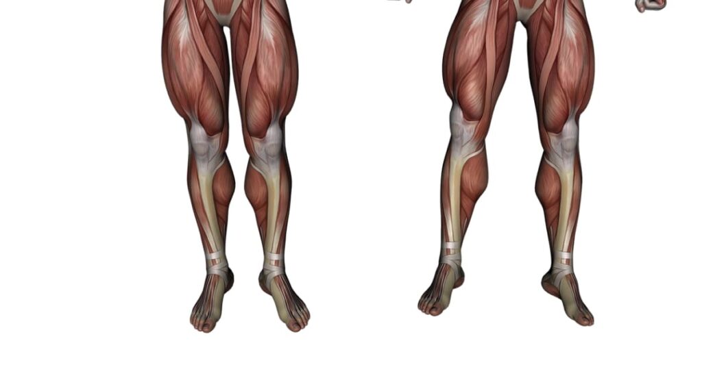 Calf Raises