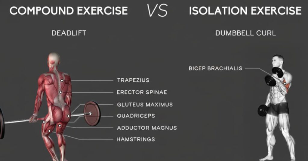 Compound vs. Isolation: A Side-by-Side Comparison Compound vs. Isolation: A Side-by-Side Comparison
