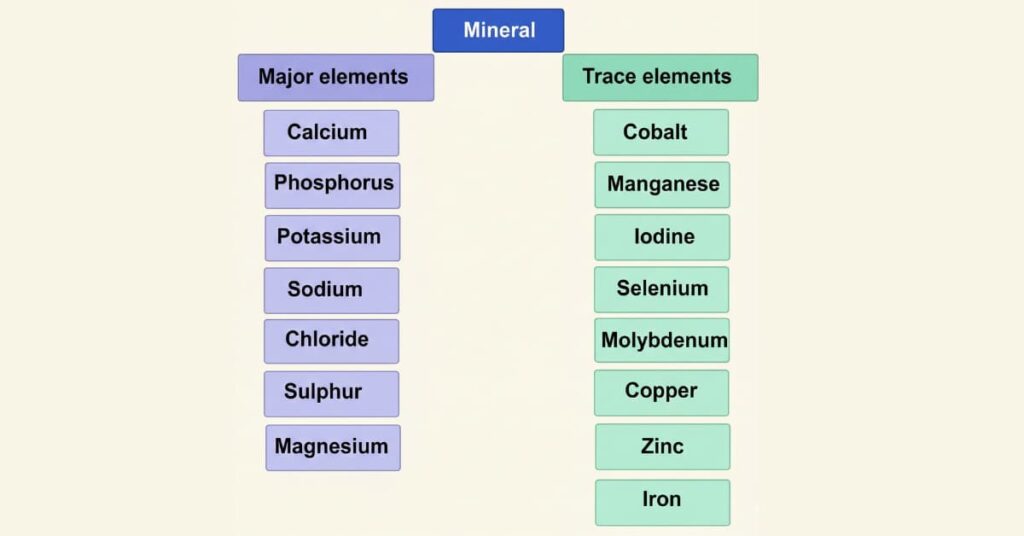 Macrominerals and Trace Minerals