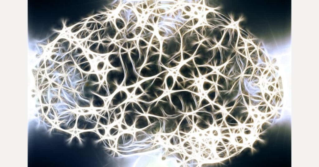 Somatic vs. Autonomic: A Side-by-Side Comparison