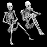 The Hidden Engine about Bones and Joints 9 Mind-Blowing Facts and More