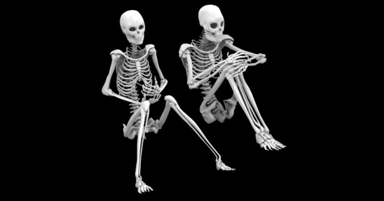 The Hidden Engine about Bones and Joints 9 Mind-Blowing Facts and More