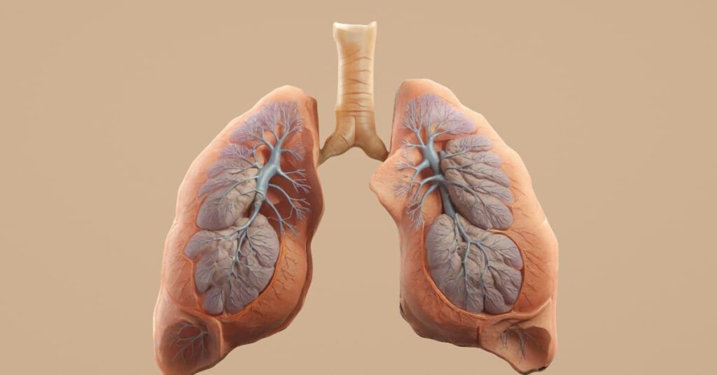 Fueling the Lungs: What to Eat