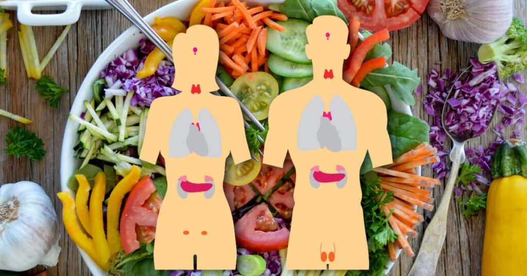 How to Support Endocrine Health Through Diet How to Support Endocrine Health Through Diet