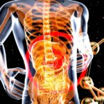 The Incredible Journey of Digestive System7 best ways to Keep It Running Smoothly