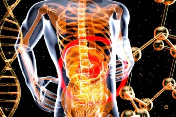 The Incredible Journey of Digestive System7 best ways to Keep It Running Smoothly