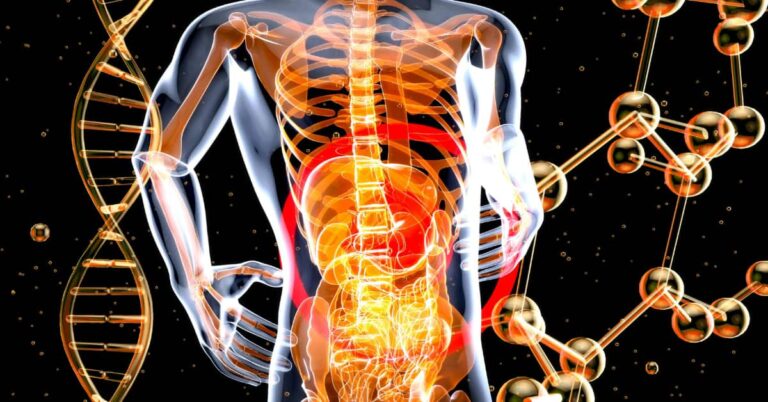 The Incredible Journey of Digestive System7 best ways to Keep It Running Smoothly