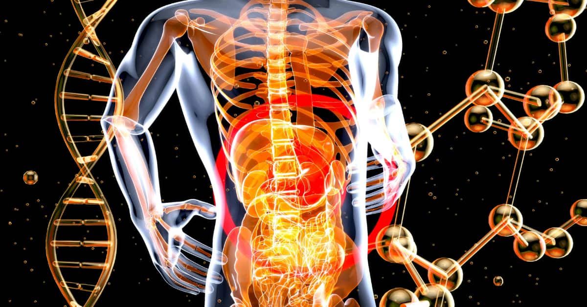 The Incredible Journey of Digestive System7 best ways to Keep It Running Smoothly