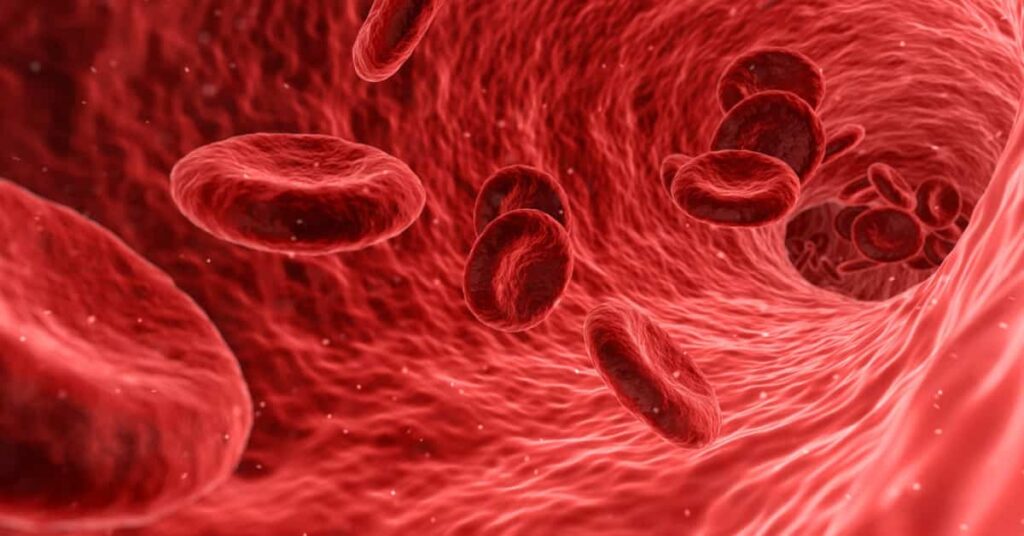 The Main Players: Heart, Vessels, and Blood The Main Players: Heart, Vessels, and Blood