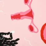 Understanding the Human Reproductive System 9 Powerful Truth