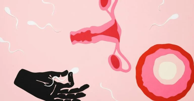 Understanding the Human Reproductive System 9 Powerful Truth