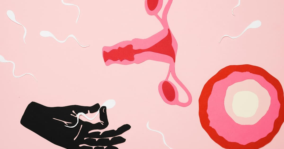 Understanding the Human Reproductive System 9 Powerful Truth